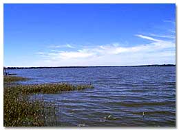 Florida Lake - Big Lake Harris