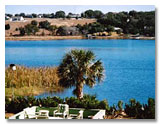 Lake Nettie Eustis Florida